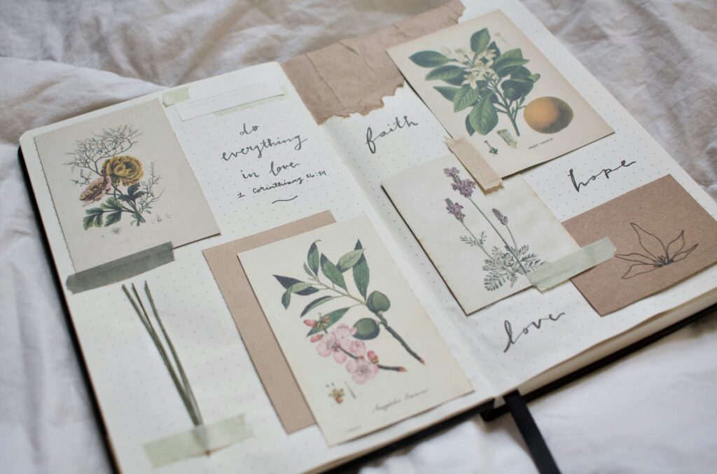 Nature Journalling: Slowing Down to See the World Differently