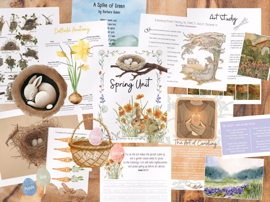 Spring Unit Study Ideas 🌱
